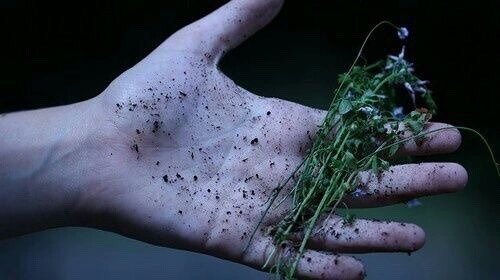 slythersthetic: Slytherin Aesthetics:: Grunge @irmaosdenarnia