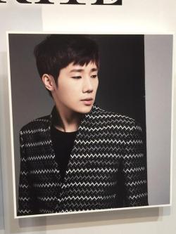 ifnt0428:  DILEMMA Mini Panel Display at Tsutaya in Shibuya© Tuusan140 | do not edit, crop or remove watermark 