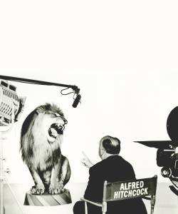 cinecat:  Alfred Hitchcock directs the MGM lion, 1958. 
