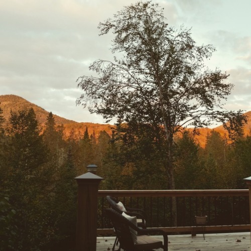 Evening Light.