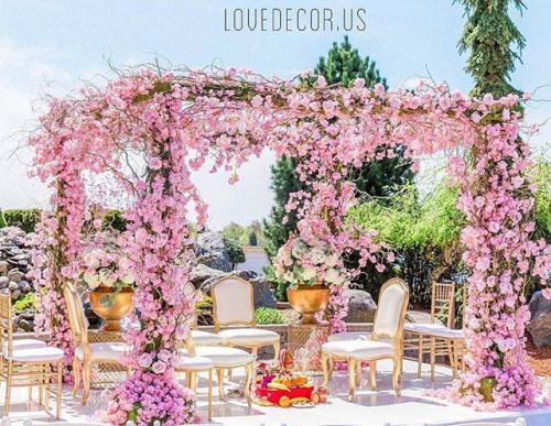 Meet the team that can create a garden for you at our Wedding Show!  Decor @lovedecor.us Sunday Octo