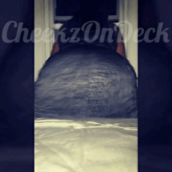 cheekzondeck:  inlovewitdacocoa:  cheekzondeck:  leahfineass:  cheekzondeck:  💰CheekzOnDeck💰AssSoPhat💰FreakShit💰  @cheekzondeck 💋  I mean can I taste your pussy 😏  @leahfineass 💦💦👅  I would love for you @cheekzondeck to do that