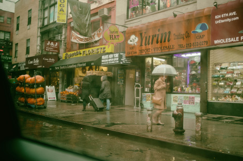 bagnostian:  “you’ll be as happy as a monkey in a monkey tree” chelsea, nyc. (Fuji X100) 