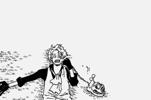 One Piece Manga 904 Tumblr