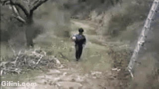 gifini:  This child will never jump to somewhere he didn’t see before