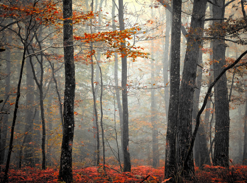 Early in the morning! by Patrice THOMAS