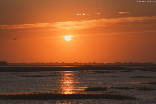 Folly Creek SunriseCharleston, South Carolina