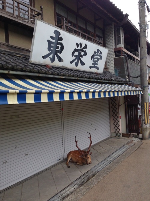 ezzoi:rinjuu:Nara, Japanin naruto shikamaru has like a deer forest protection thing and he’s nara cl