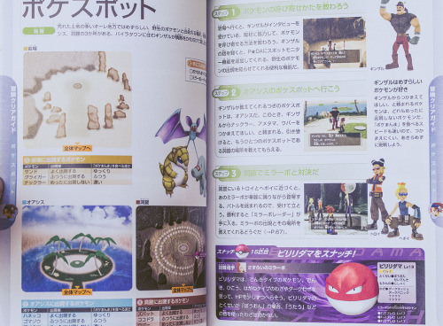 tepigs-trotters: Pokémon XD: Gale of Darkness Japanese strategy guide