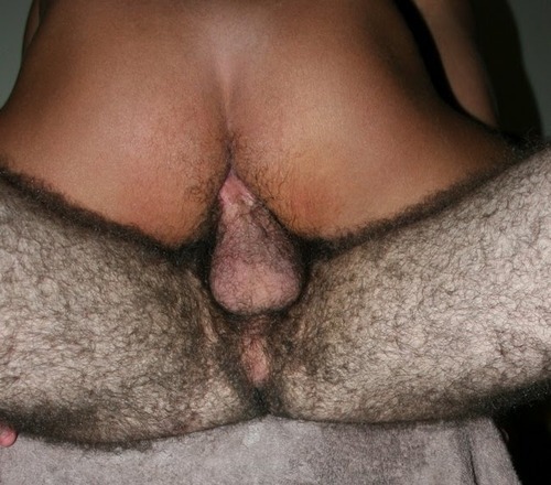 sluttymcnastyloads:  hairylegsmakemecum:  IF you know where this is from let me know