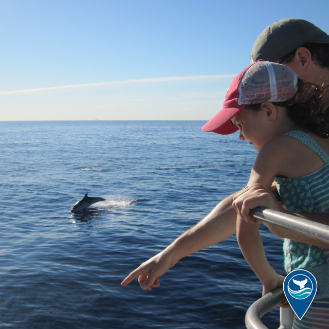 Young child is accompanied by an adult who points into the ocean while a dolphin jumps in the distance.