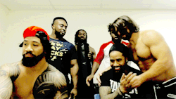 reigningxprizefighter:  AJ Styles is Samoan