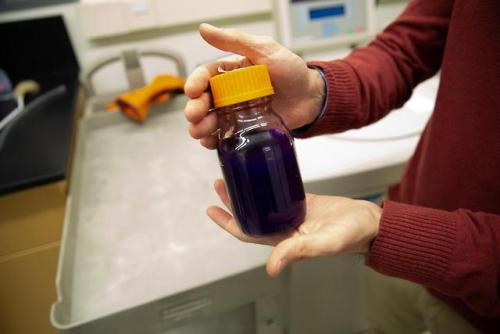 A powerful purple protein (pictured above) that could help cure certain types of blindness has made 