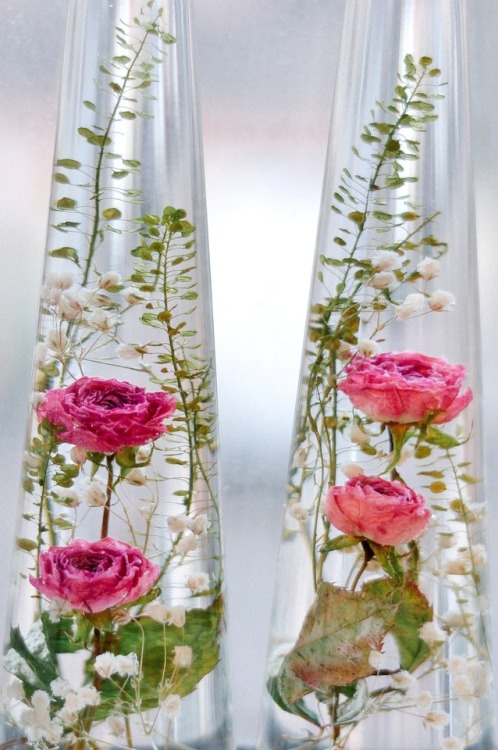 sosuperawesome: Bottled Preserved FlowersSullis Garden on EtsySee our #Etsy or #Real Flower tags
