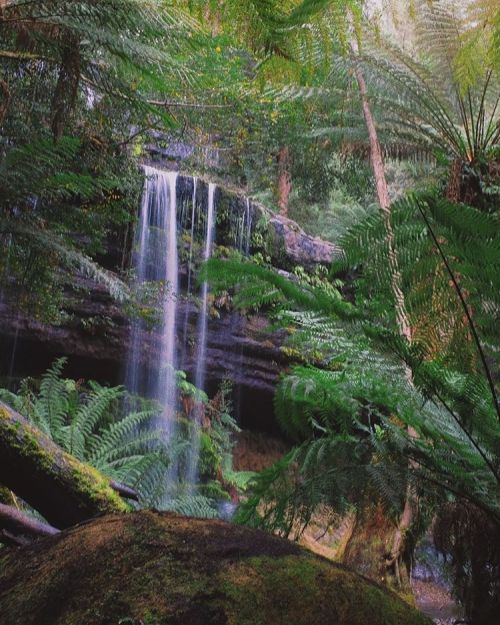 naturaljunglejim: Re edit of the #Tasmanian adventures #waterfall #vsco #nature #fujifilm