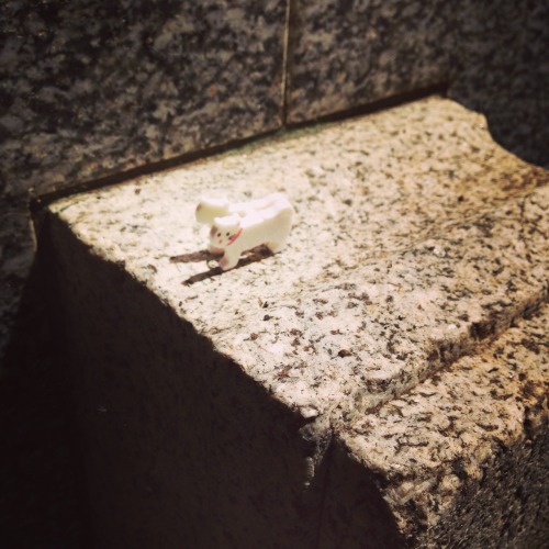 soyonscruels:cook left little plastic cats at karl marx’s grave and in the up the bracket alley; tha