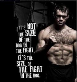 hackingvitality:  How Big is your Fight? 💪 🏊  🏋️  🚴  🤸 #fit #fitwomen #muscles #fitness #diet #keto #healthylife #muscular #exercise #motivation #gymmotivation #bodybuilding #gymnast #fitnessaddict #workout #fitlife https://buff.ly/2pajIvY