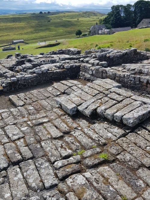Housesteads Roman Fort, Hadrian’s Wall, Northumberland, 2.8.18.A return visit to this site in the su