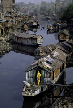 snowce:  Steve McCurry, near Dal Lake in