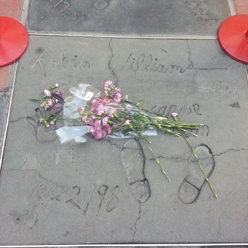 People paid tribute to Robin Williams on Hollywood Walk of Fame and Chinese theater (at TCL Chinese Theatres)