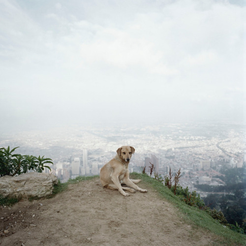 in Dog Days, Bogotá, Alec Soth