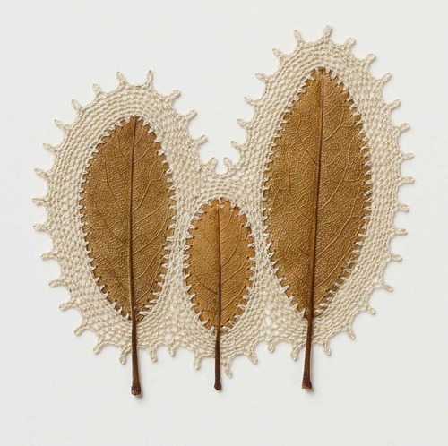 crossconnectmag:Crocheted Leaf Sculptures by Susanna BauerTo truly appreciate the delicacy of Susann