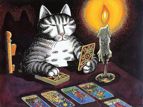 fungaloids: Tarot Reading Cat Illustrated by B. Kliban    