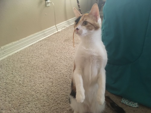 Deborah (submitted by @atmidnight666)