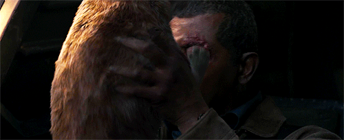 allofthefeelings:cipheramnesia:allofthefeelings:HOT TAKE: What if Goose foresaw that Nick would need
