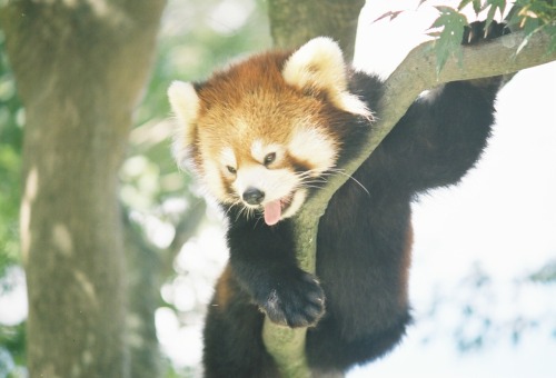 平川動物公園