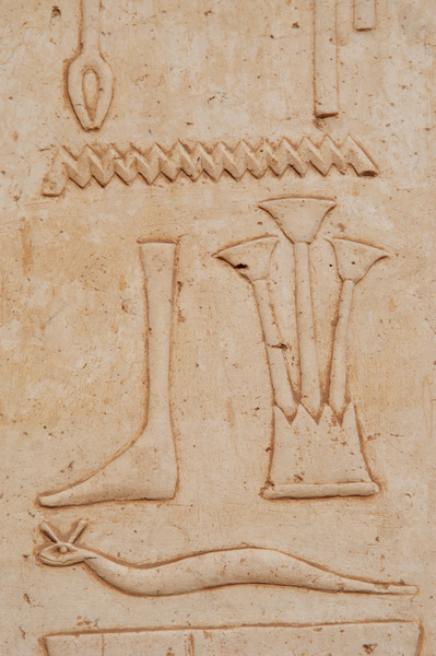 Hieroglyphs from Temple of Hatshepsut at Deir el-Bahari.