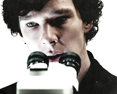 BenedictCumberbabe
