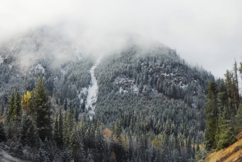 matchbox-mouse: Autumn mountains. Alberta, Canada.