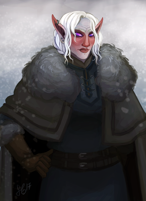 A Snow Elf necromancer in Skyrim