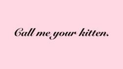 Things Kitten Wants