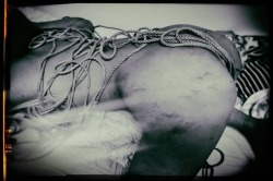 mozu-mozu:  #緊縛 #kinbaku https://www.instagram.com/p/Bn-2s44hGF5/?utm_source=ig_tumblr_share&igshid=20in52pdamf3