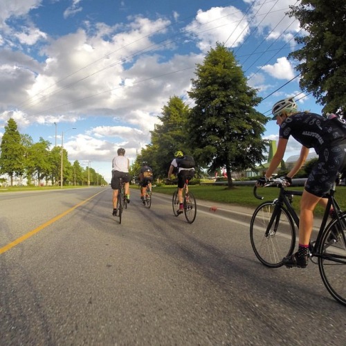 allfixedgear: On route to #oakvilleontario. #mondaynightrehab #allfixedgear #trackbikes #fixedride #