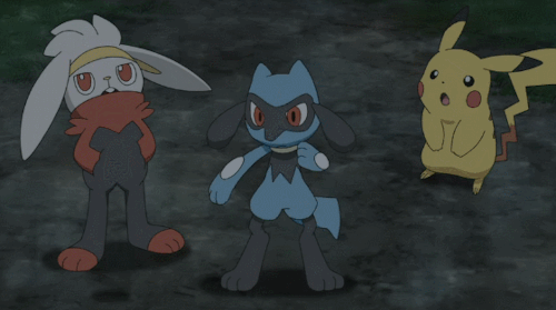 smilingperformer:Riolu being cute and powerful pupper in Pokémon 2019 series, episode 23Bonus:Riolu 
