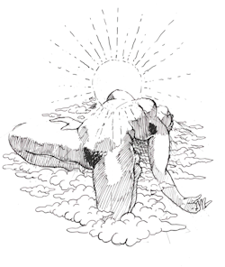 spitblossoms: