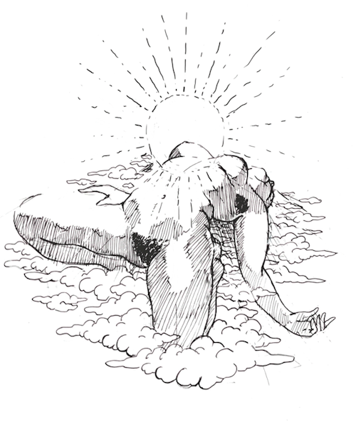 spitblossoms: