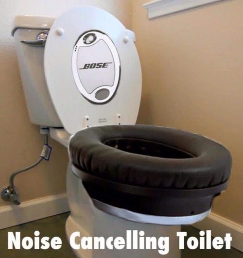 The Bose Quietcomfart #2