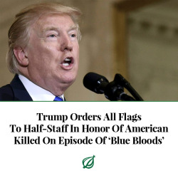 theonion:  At times struggling to hold back tears, a solemn President Donald Trump ordered all flags to half-staff Friday in honor of an American killed in the line of duty on an episode of Blue Bloods. “Today we honor New York City police officer Vincent