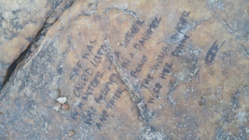 organichaos: We found this on the rocks near the local rapids while taking a nice nature walk ~ “She