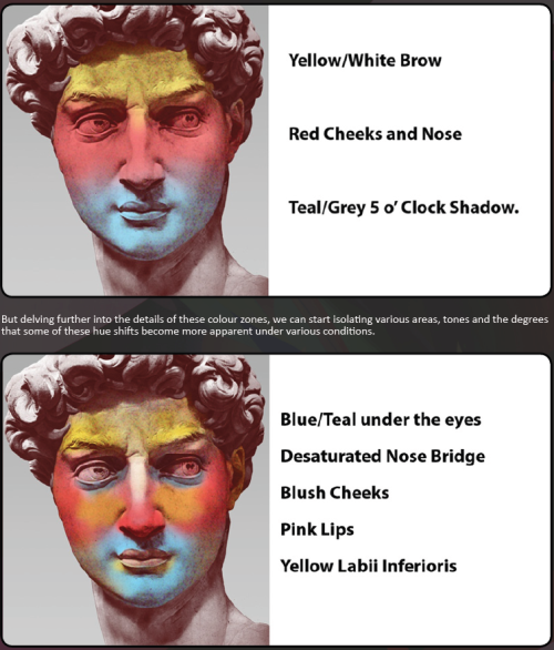art-res:[1] Color Zones of the Face [Tried to find source, I think it’s here ] [2] Navate’s Skin Cha