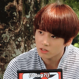 hugtae: always ready to fight the bugs