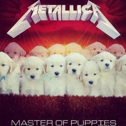 goingoutinablazeofglitter:  😭😭😭😭😭❤️🐶 #metallica #puppy #puppies #dogs #masterofpuppets #throwback #cute #metal