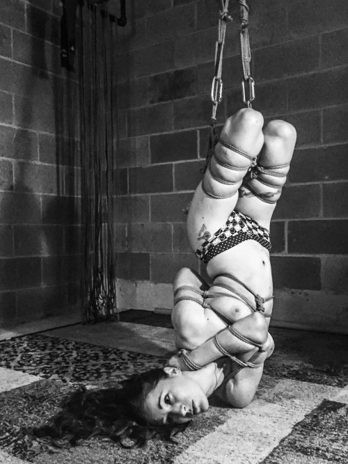 photosropeandflowers: Double futomomos and a headlock TK Model: MsContradictionRope and Photo: Me