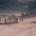 XXX archae-heart-deactivated2021012:Transylvania photo