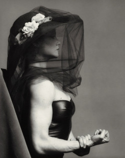 una-lady-italiana:  by  Robert Mapplethorpe - Lisa Lyon - 1981. 