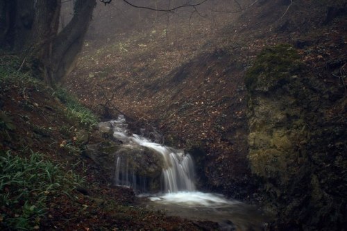 alteriusnocte: by Sergey Yablokov